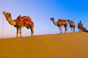 Rajasthan-Tour-Package_306_203